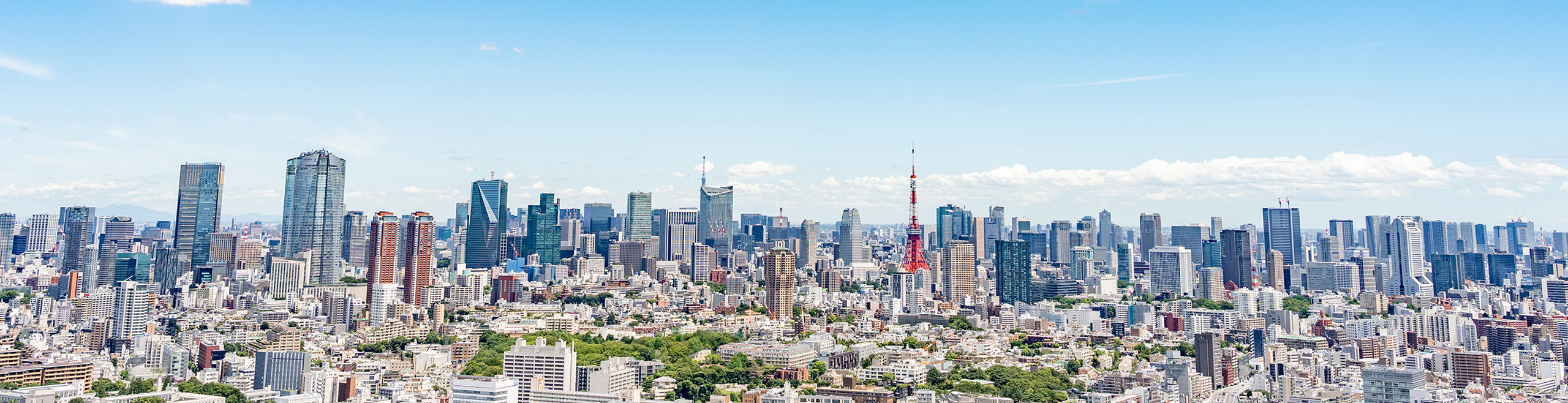 企業情報のイメージ